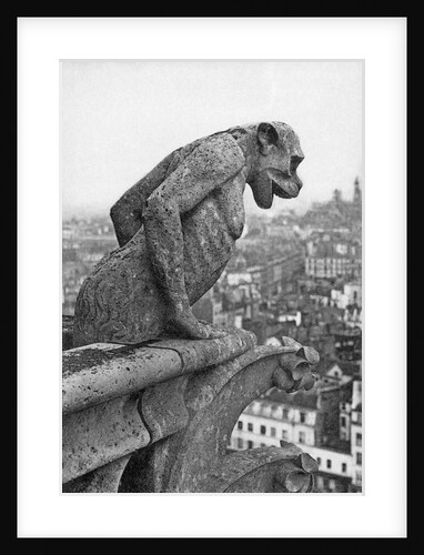 Notre Dame Cathedral Gargoyle Paris by Anonymous