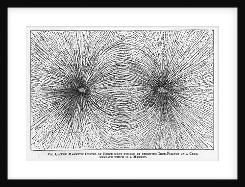 Iron Fillings Demosntrate Magnetic Force by Anonymous