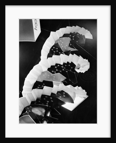 Model Of Dna Molecule by Anonymous