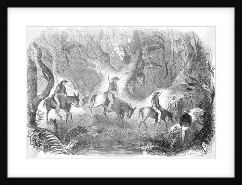 Californians Crossing The Panama by Anonymous