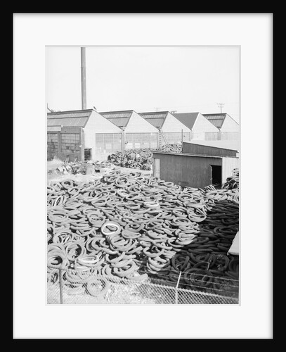 Yard Full of Scrap Auto Tires by Anonymous