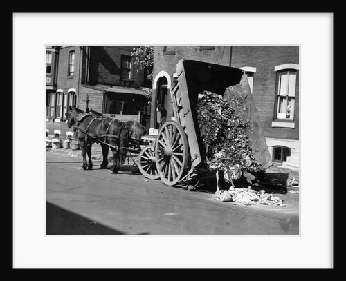Horsedrawn Trash Cart Dumping In Street by Anonymous
