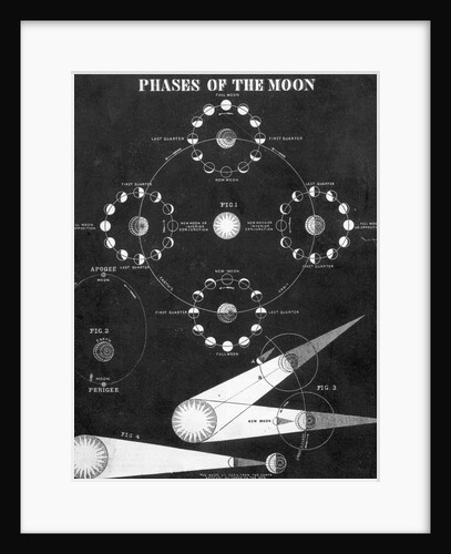 Illustration Of "Phases Of The Moon" by Anonymous