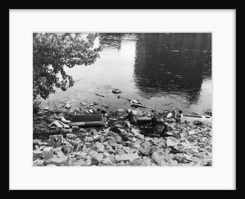 Passaic River W/Debris On Its Bank;Pollu by Anonymous