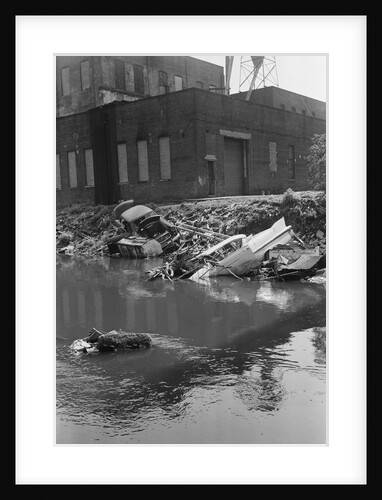 Polluted Waters of the Bronx River by Anonymous