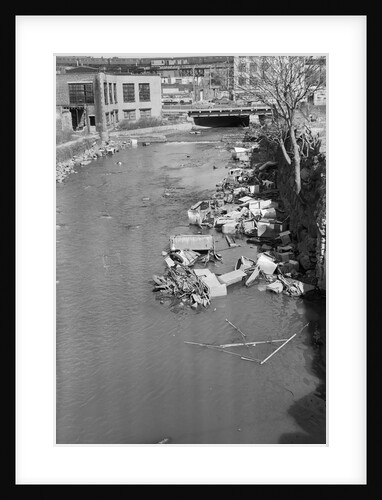 Stream Polluted with Automotive and Household Waste by Anonymous