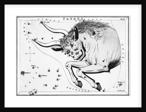 Engraving Of Taurus, Front Half Of Bull by Anonymous
