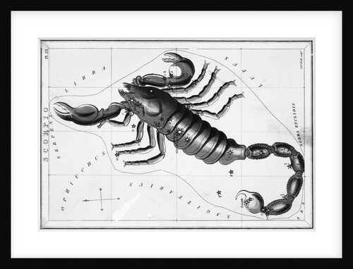 Scorpio Constellation Illustrated on Star Map by Anonymous