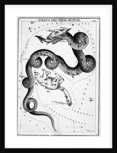 Constellations;Little Bear;Dragon;Engr by Anonymous