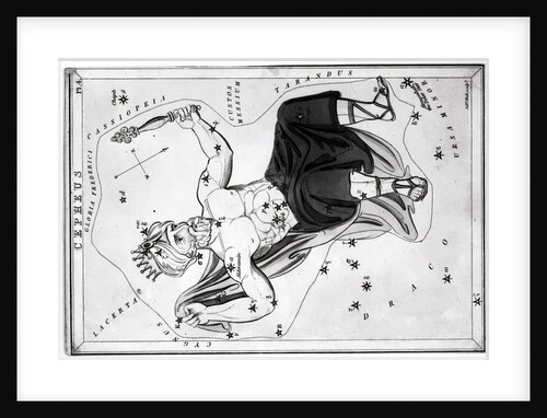 Engraving Of Cepheus Constellation by Anonymous
