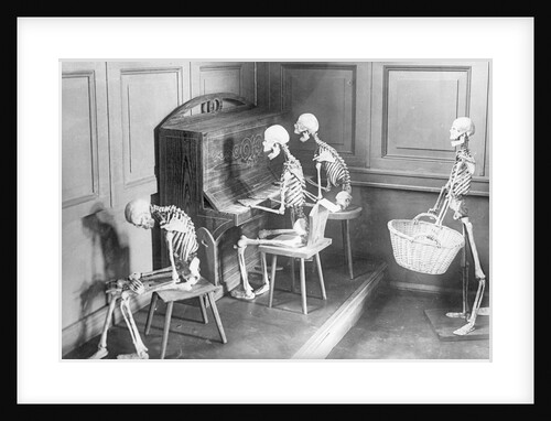 Skeletons Shown Playing Piano, Etc by Anonymous