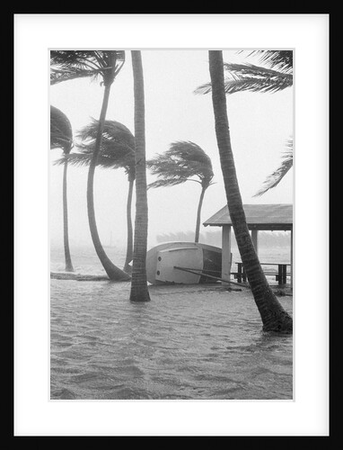 Boat Overturned By Hurricane Winds by Anonymous