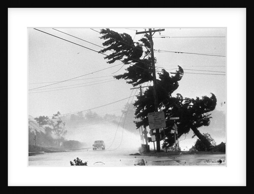 Water Falls/Car Stopped/Down Power Lines by Anonymous