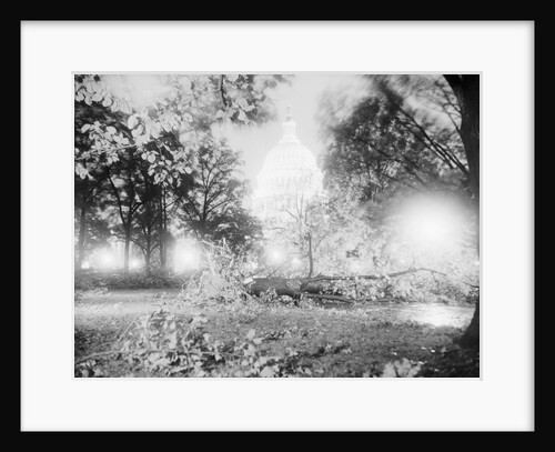 Capitol Building and Lawn After Hurricane by Anonymous