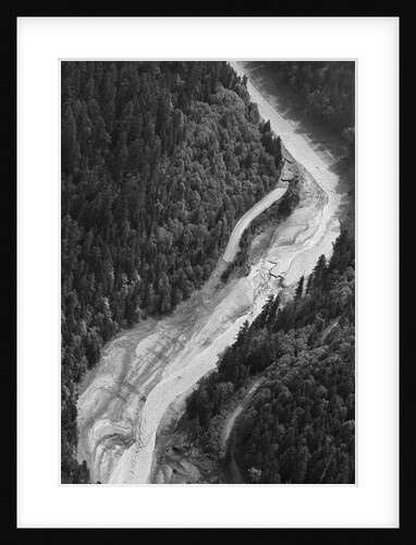 Aerial Flood Of Road Surrounded By Trees by Anonymous