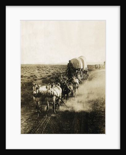 Covered Wagons on the Plains Going West by Anonymous