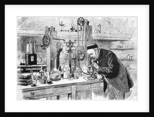 Louis Pasteur Looks Thru Microscope;Illu by Anonymous
