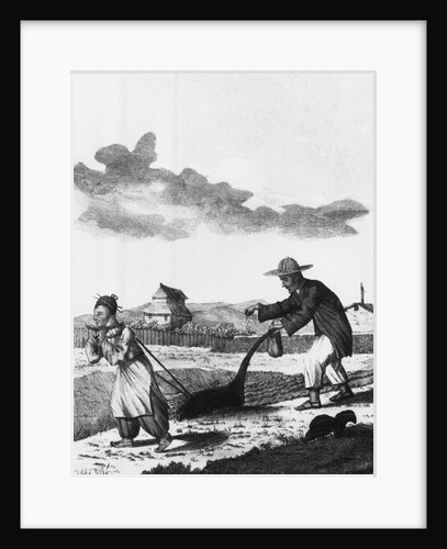 Chinese Peasants Plowing and Sowing by Anonymous