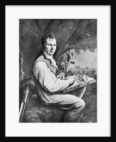 Alexander Von Humboldt Seated W/Plants by Anonymous