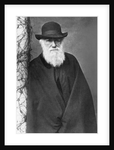 Charles Darwin by Anonymous