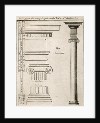 Illustration of Ionic Order of Columns by Anonymous
