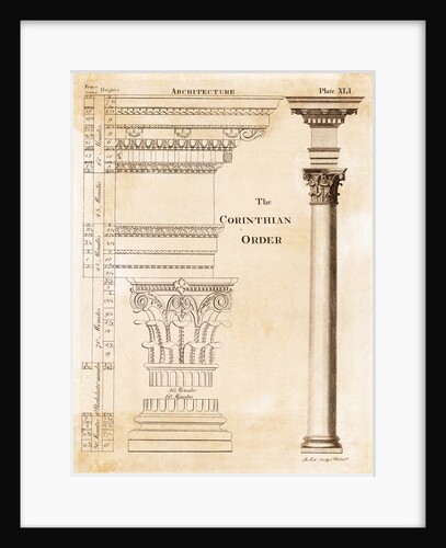 Illustration of Corinthian Columns by Anonymous