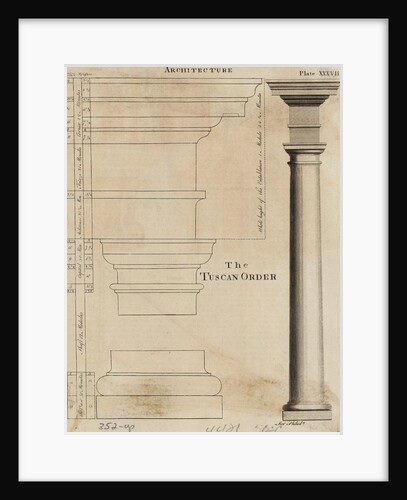 Illustration Tuscan Order of Columns by Anonymous