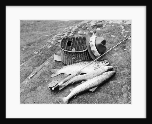 Catch of Trout by Anonymous