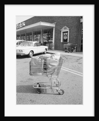 Shopping Cart In Grocery Parking Lot by Anonymous