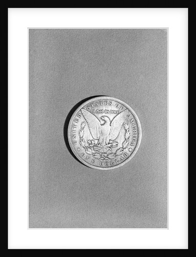 Close-Up Of Silver Dollar by Anonymous