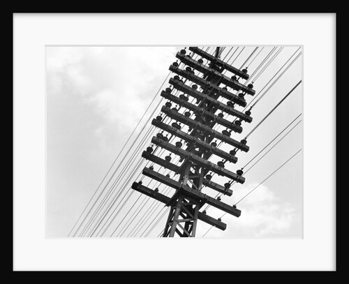 Long Island Railroad Communication Lines by Anonymous