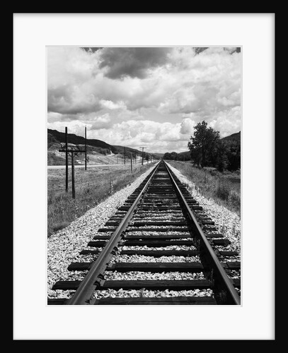 Railroad Tracks Stretching into the Distance by Anonymous