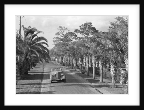 Couple Ride In Car/Tree-Lined Street by Anonymous