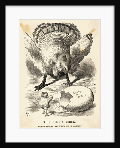Political Cartoon Of Chick And Turkey by Anonymous
