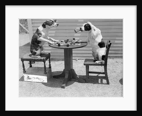 Dogs Playing Checkers/One Smokes Pipe by Anonymous