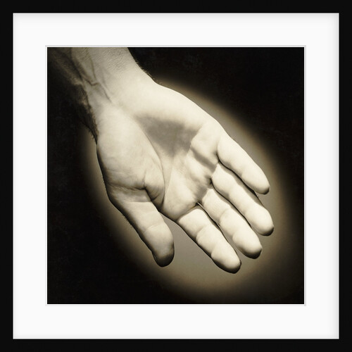 Palm-Side Of A Hand by Anonymous