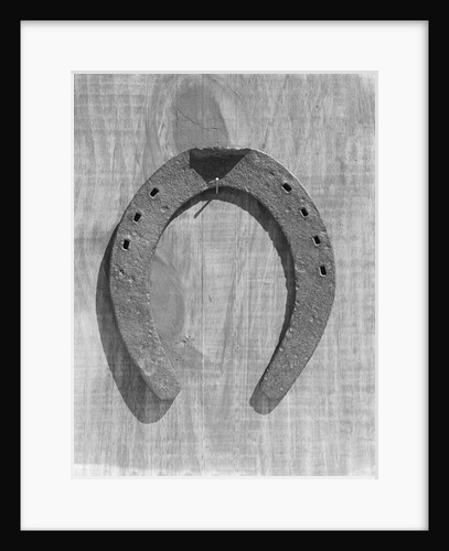 Horseshoe Hanging on a Nail by Anonymous