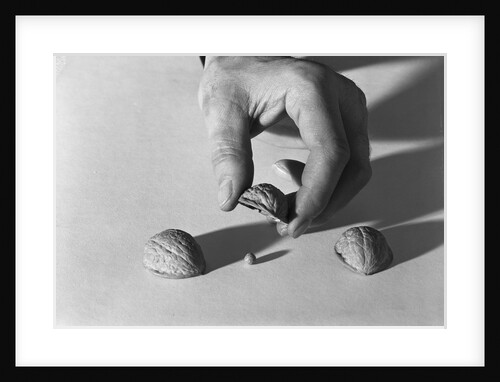 Shell Game by Anonymous