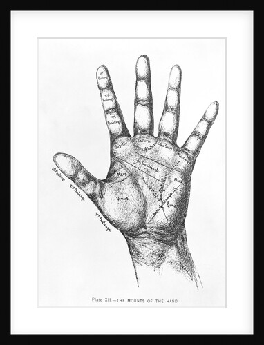 The Mounts Of The Hand/Palmistry/Drawing by Anonymous