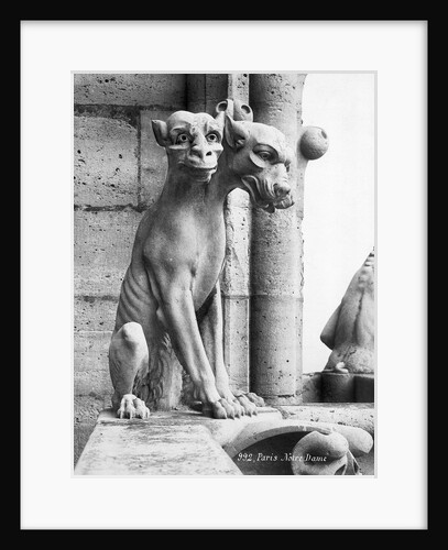 Gargoyle Of Cerebus At Notre Dame by Anonymous