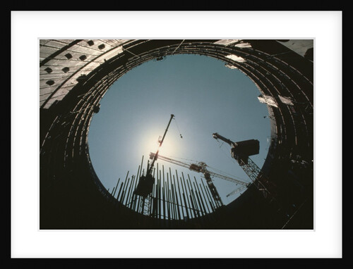 Cranes Silhouetted By Mid-Day Sun by Anonymous