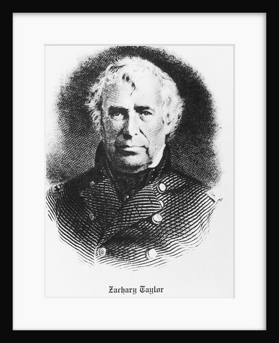 Bust Illustration Of Zachary Taylor by Anonymous