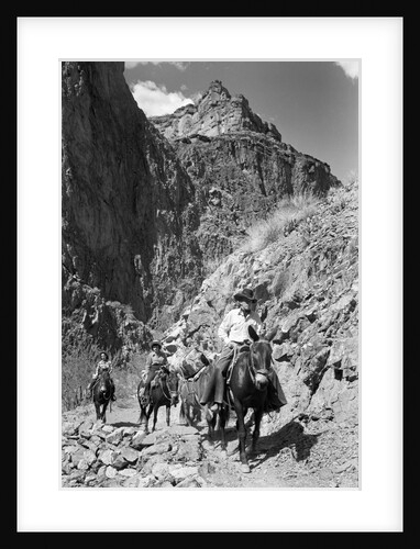 Mule Riders on Kaibab Trail by Anonymous