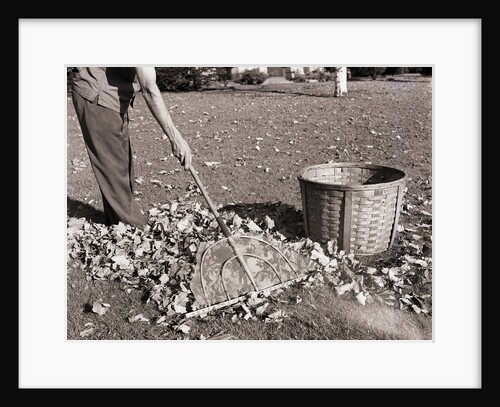 Man Raking Leaves by Anonymous