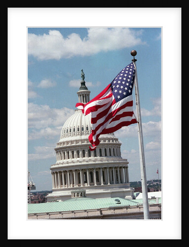 Flag Waving in Front of US Capitol Building by Anonymous