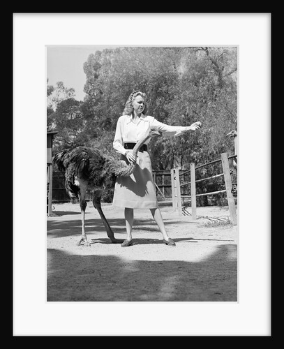 Woman Feeds Ostrich Orange on Farm by Anonymous