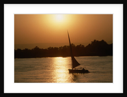 Felucca Sailing at Sunset by Anonymous