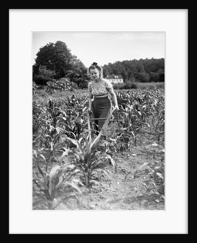 Woman Cultivating Corn Field by Anonymous