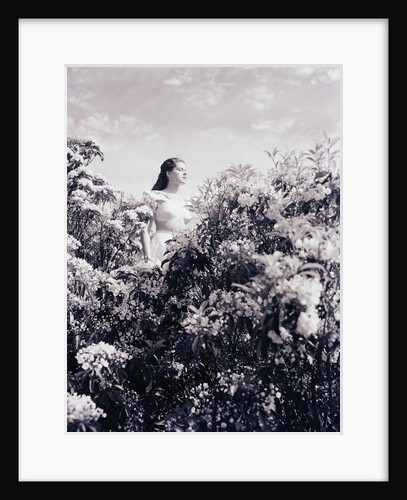 Woman Stands in the Mountain Laurel by Anonymous