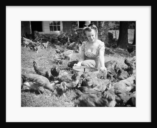 Woman Sits And Hand Feeds Chickens by Anonymous